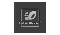 magic-leaf