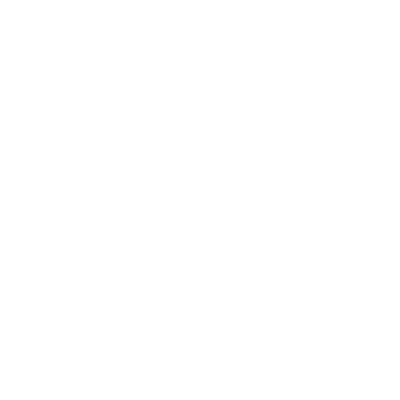 Logo 13